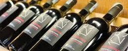 Primitivo del Salento